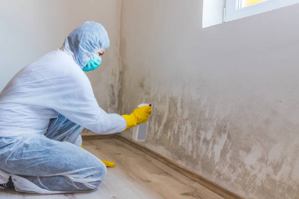 Mold Remediation specialist working in Whippany