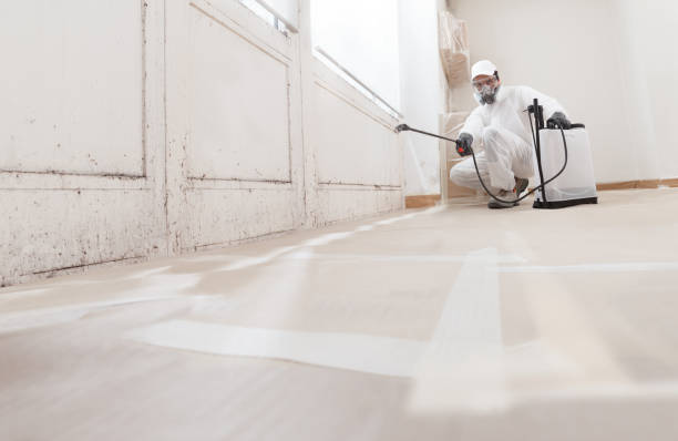 Black mold remediation team in Whippany